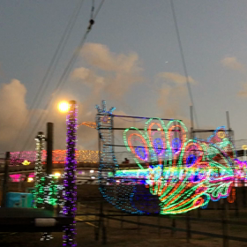 伊豆グランイルミの画像