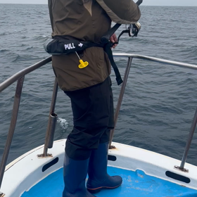 世界の稲葉玲王の画像