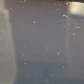 アルテミア孵化5日目の画像