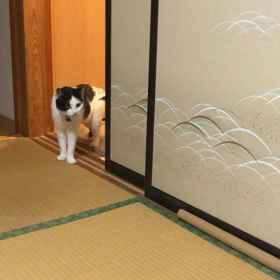 毎日ほっこりをありがとうの画像