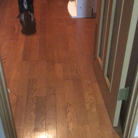 蘭君。兄ちゃん大好きの画像