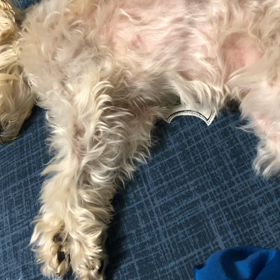 特養入って349日目。。。ギックリ腰の画像