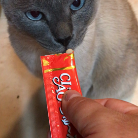 てんのおやつの画像