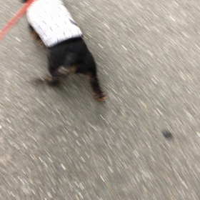 雨が降る前に…の画像