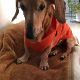 ＊＊生き抜くこと＊＊クリームへ☆の画像