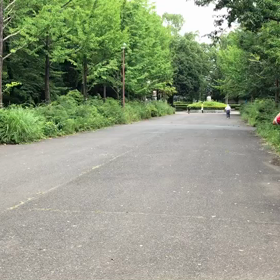 100m記録会 Aグループ②の画像