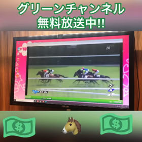 グリーンチャンネル無料放送中‼︎の画像