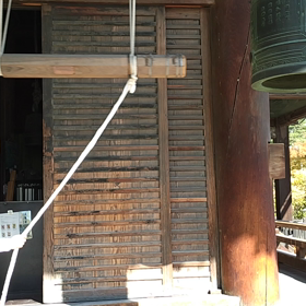 不思議な動画がとれました①の画像