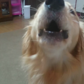 ラムネの歌声♪の画像