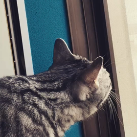 鳥を見て思わず…。の画像