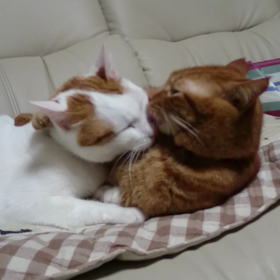 ◆仲良しからの…(笑)の画像