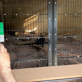 練習中♪の画像