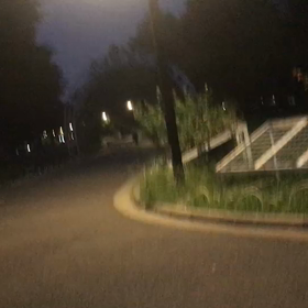 ♪お散歩動画♪代々木公園♪の画像