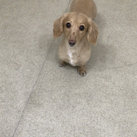 ♪プレイルーム動画♪①の画像