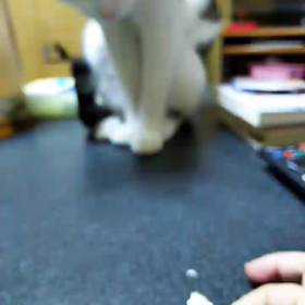 空とサッカー。の画像