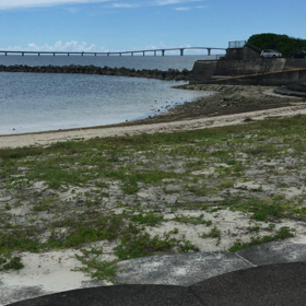 ミニセグウェイツアー海コース編の画像