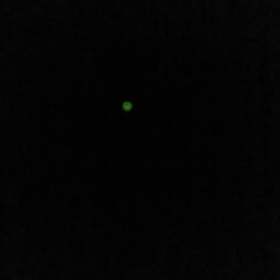 動画を撮ったけど…の画像