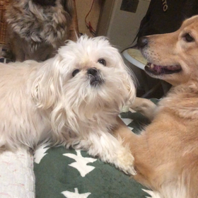 おはよーの画像