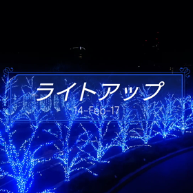 ライトアップの画像