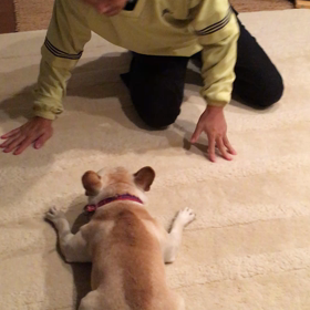 とーちゃん との遊びは大変なんでつの画像