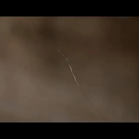 [1分動画]にんにくの種まきをしたの画像