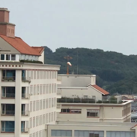 ドクヘリアジトへ帰るの画像