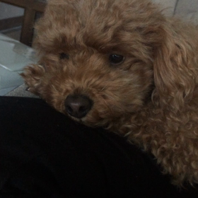 眠すぎての画像