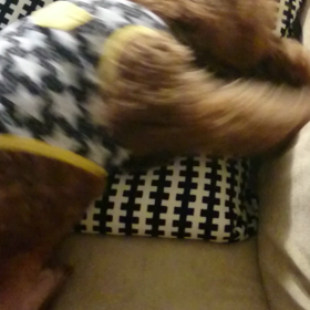 旦那さんホリホリの画像