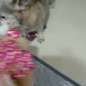 雨雨雨～の画像