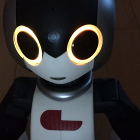 ロビ2 組立てのみ　動作不明 ロビ2 組立てのみ 動作不明