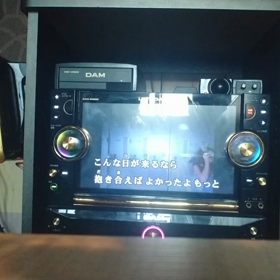 歌ってみた…27の画像