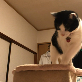 コルネトンネルの画像