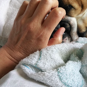 まったり。の画像