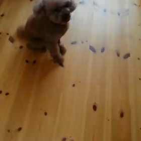 もうたまりません❤️の画像