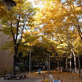 もみじ湖の紅葉を韓国で楽しむ❗の画像