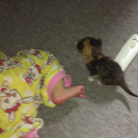 コラボっち₍˄·͈༝·͈˄₎ฅ˒˒の画像