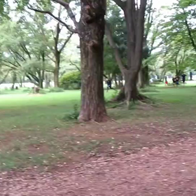 400mインターバル 中間点②の画像