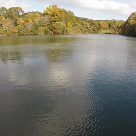 アリかナシの画像