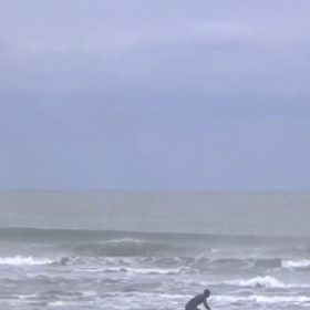 今朝もパスの画像