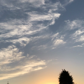 サービ スしてあげなくちゃ…！これも良く言ってわ。の画像