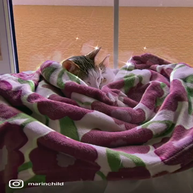 過去とは✨の画像