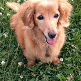 スパイク兄さんの画像