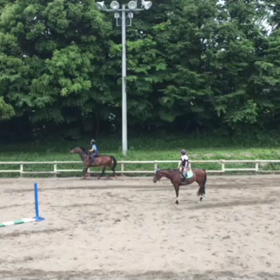 直線の女王と風になる/中級障害レッスンの画像