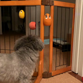 タマゴ狩りの画像