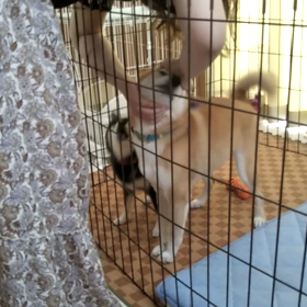 熱烈歓迎の画像