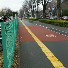 所走memories(2019-2020)196の画像