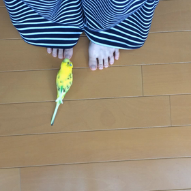 お散歩ごっこの画像