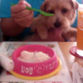 これうめ～ヽ(^。^)ノの画像