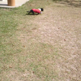 ４週連続で♪の画像