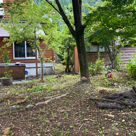 庭の整理の画像